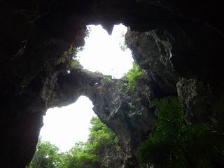 ขยายใหญ่